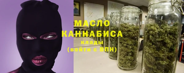 стаф Кулебаки