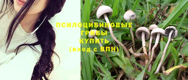 стаф Кулебаки