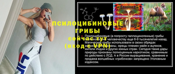 стаф Кулебаки